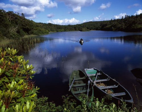 Salmon Fishing, Ballinahinch, Connemara, Co Galway, Ireland PosterPrint - Item # VARDPI1809946