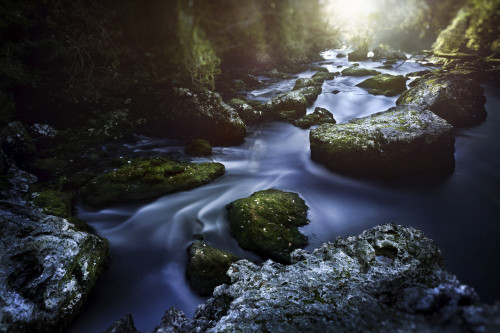 Aged boulders covered with moss lying in a forest river, Ritsa Nature Reserve, Abkhazia, Georgia Poster Print - Item # VARPSTEVK200186S