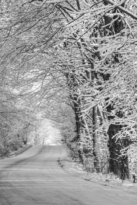 Snow covered road in a Canadian winter; Ville de Lac Brome, Quebec, Canada PosterPrint - Item # VARDPI2333728