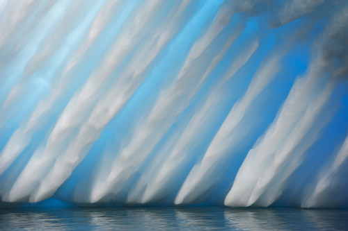 Abstract of ice formation on Melchior Islands, Antarctic Peninsula, Antarctica Poster Print - Item # VARPSTSJN400592U
