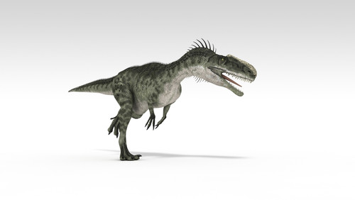 Monolophosaurus dinosaur, white background Poster Print - Item # VARPSTKVA600755P