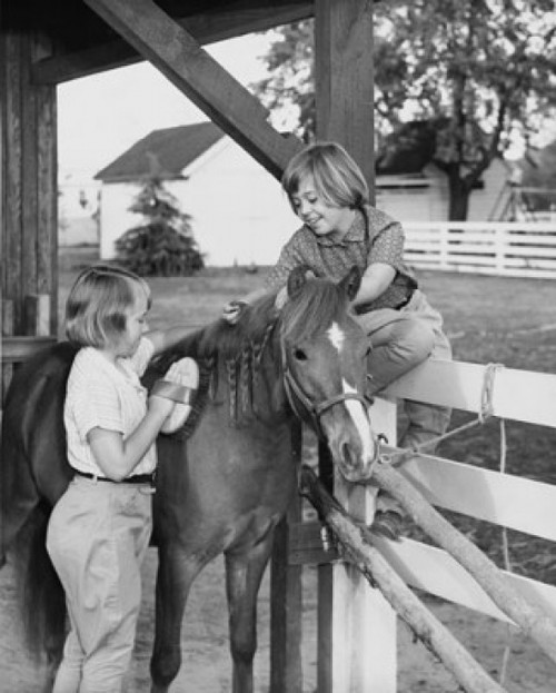 Two girls grooming their horse Poster Print - Item # VARSAL25516640