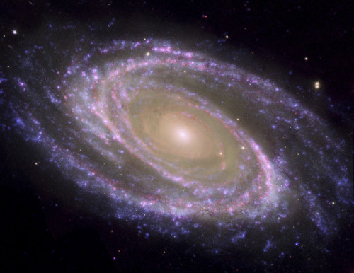 Spiral galaxy Messier 81 Poster Print - Item # VARPSTSTK201465S