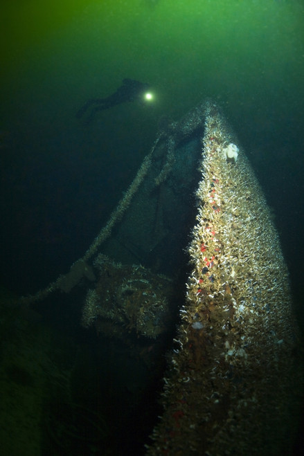 Trans Pacific Shipwreck, Northern British Columbia, Canada PosterPrint - Item # VARDPI1826937
