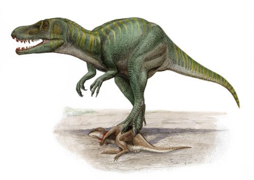 Marshosaurus bicentesimus, a prehistoric era dinosaur from the Jurassic period Poster Print - Item # VARPSTSKR100089P