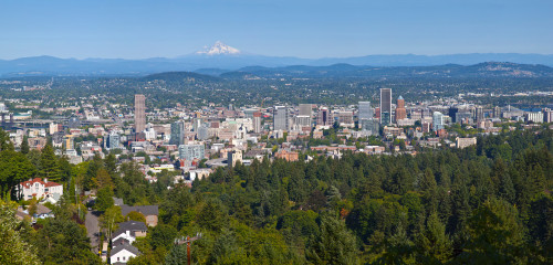 Elevated view of cityscape, Portland, Multnomah County, Oregon, USA Poster Print - Item # VARPPI169699