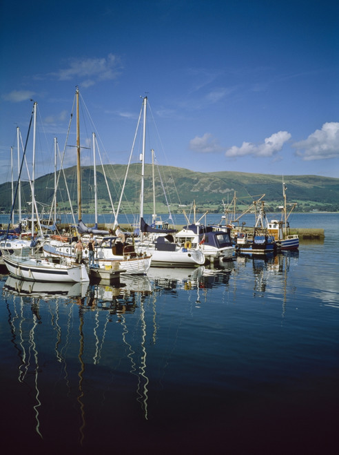 Carlingford Yacht Marina, Co Louth, Ireland PosterPrint - Item # VARDPI1840856