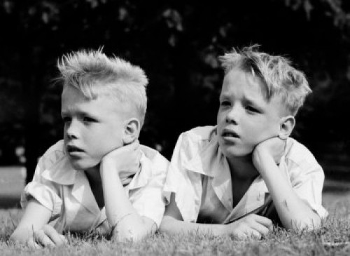 Twin boys lying on grass and looking away Poster Print - Item # VARSAL255423259