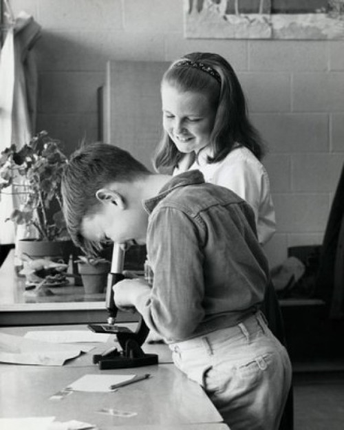 Side profile of a boy looking through a microscope Poster Print