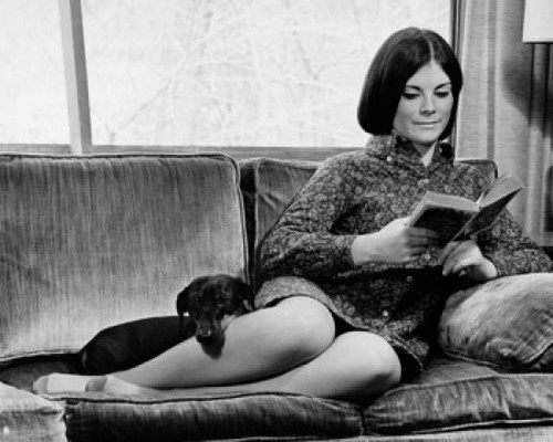 Young woman sitting on a couch reading a book with her dog Poster Print - Item # VARSAL25527191B Young woman sitting on a couch reading a book with her dog Poster Print - Item # VARSAL25527191B