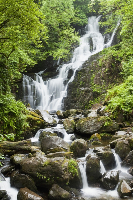 Torc Waterfall; Killarney, County Kerry, Ireland PosterPrint - Item # VARDPI2059279