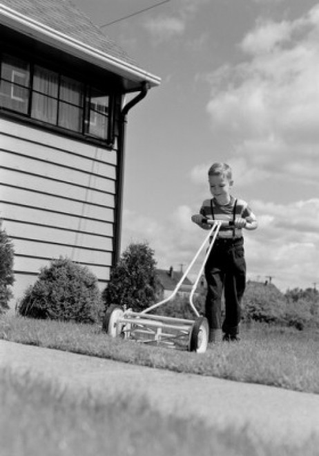 Boy mowing lawn in backyard Poster Print - Item # VARSAL255416989