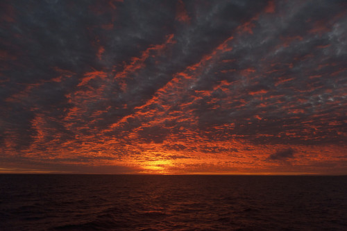 A Sunset Over The Pacific Ocean; Galapagos, Equador PosterPrint - Item # VARDPI1964337