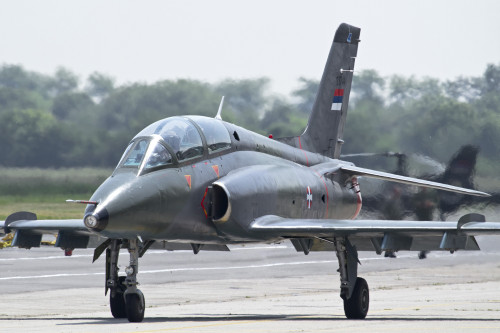 Soko G-4 Super Galeb of the Serbian Air Force at Batajnica Air Base, Serbia Poster Print - Item # VARPSTABA100048M