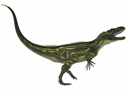 Torvosaurus is a large theropod dinosaur that lived during the Late Jurassic Period in North America and Portugal Poster Print - Item # VARPSTCFR200164P