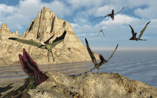 A group of Thalassodromeus pterosaurs during the Cretaceous Period of time Poster Print - Item # VARPSTMAS600025P