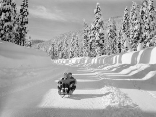 Young couple riding sledge Poster Print - Item # VARSAL255424544