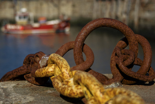 Harbour With Mooring And Fishing Boat PosterPrint - Item # VARDPI1824164
