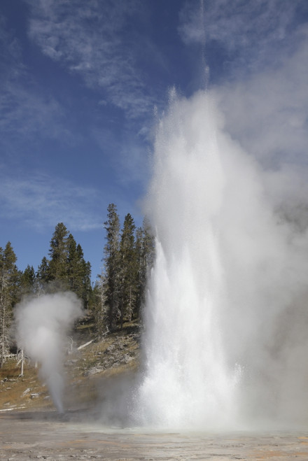 September 10, 2009 - Grand Geyser erupting, Upper Geyser Basin geothermal area, Yellowstone Caldera, Yellowstone National Park, Wyoming. Poster Print - Item # VARPSTRRS300308S