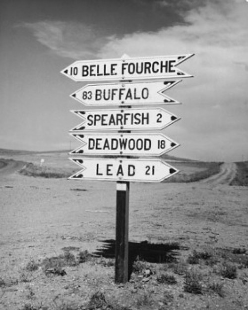 Sign  South Dakota  USA Poster Print - Item # VARSAL25541621