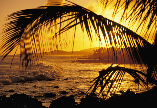 Hawaii, Kauai, Poipu, Tropical Sunset With Palm Fronds PosterPrint - Item # VARDPI1995630