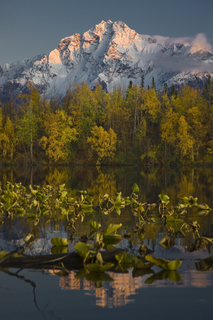 Scenic View Of Pioneer Peak Reflecting In Echo Lake At Sunset, Southcentral, Alaska PosterPrint - Item # VARDPI2153966