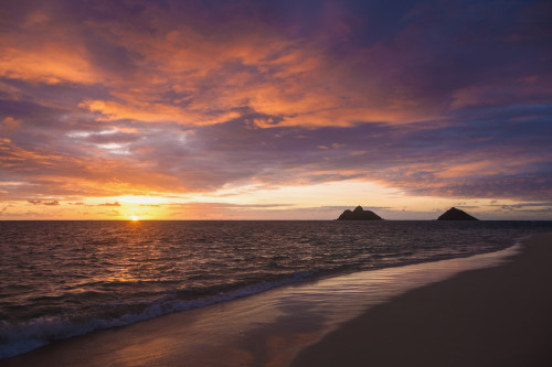Sunrise at Lanikai beach; Kailua, Island of Hawaii, Hawaii, United States of America PosterPrint - Item # VARDPI12278628