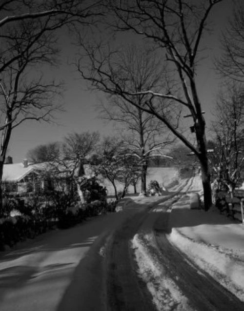 Rural scene in winter Poster Print