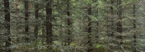 http://c328301.r1.cf1.rackcdn.com/PPI96314S.jpg