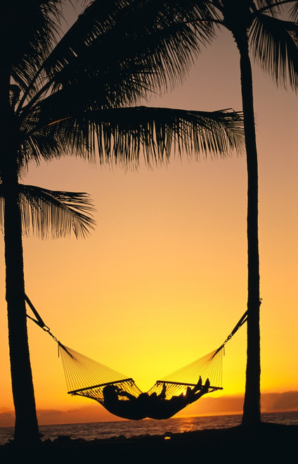 Silhouetted Couple Laying In Hammock On Beach At Sunset, Palm Trees PosterPrint - Item # VARDPI2003087