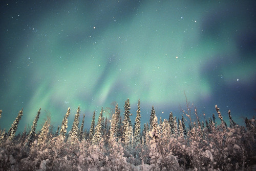 Northern Lights, Dempster Highway, Yukon PosterPrint