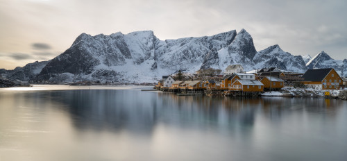 Reine and Sakrisoy villages at waterfront during sunset, Lofoten, Nordland, Norway Poster Print - Item # VARPPI169418