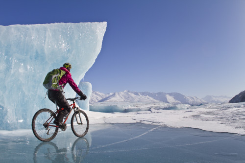Woman Fat Tire Mountain Biking On Ice At The Knik Glacier, Chugach Mountains, Southcentral Alaska, Winter PosterPrint - Item # VARDPI2097875