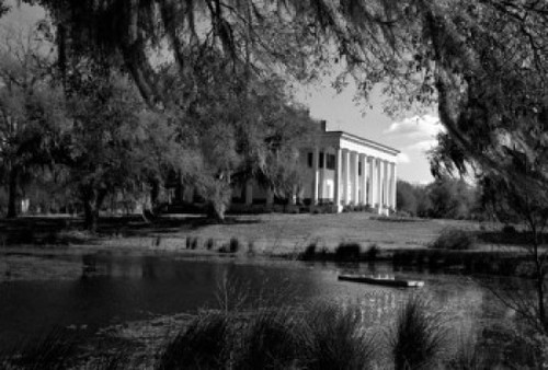 USA  Louisiana  St Francisville  Greenwood Plantation Poster Print - Item # VARSAL255424742