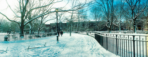 http://c328301.r1.cf1.rackcdn.com/PPI149412S.jpg