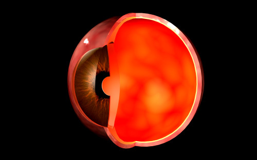 Conceptual image of human eye cross section Poster Print
