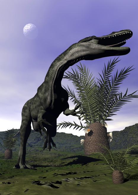Monolophosaurus dinosaur roaring next to cycadeoidea plant Poster Print - Item # VARPSTEDV600244P