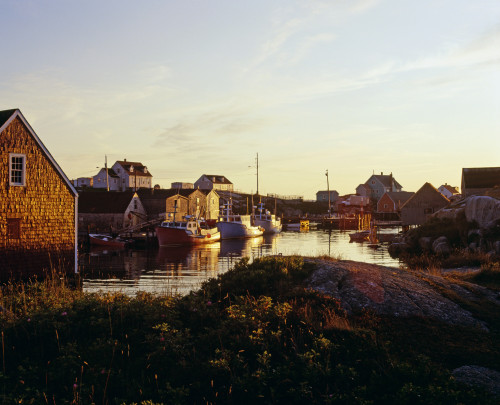 Fishing Village In Peggy's Cove, Nova Scotia, Canada PosterPrint - Item # VARDPI1802654