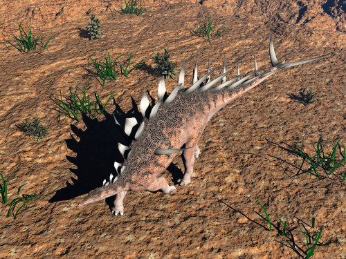 Kentrosaurus dinosaur walking in the desert, viewed from directly above Poster Print - Item # VARPSTEDV600030P