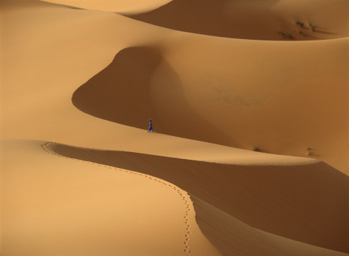 Morocco, Berber 'blue man' walking through sand dunes in Erg Chebbi area; Sahara Desert near Merzouga PosterPrint - Item # VARDPI2297360