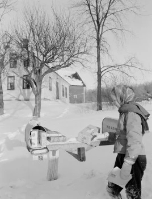 Young woman checking mail box Poster Print
