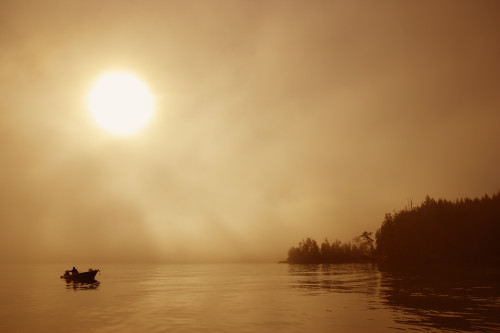 Fisherman At Dusk, Bamfield, Vancouver Island, British Columbia, Canada PosterPrint - Item # VARDPI1792843