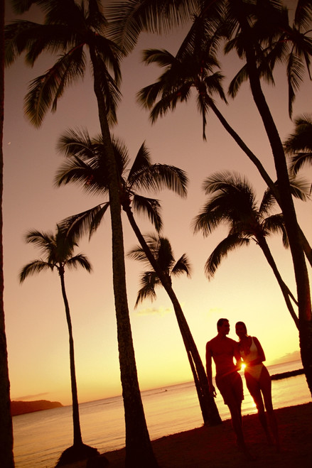 Close-Up Of Couple In Park Heads Together, Palm Trees Silhouetted By Sunset PosterPrint - Item # VARDPI2000521