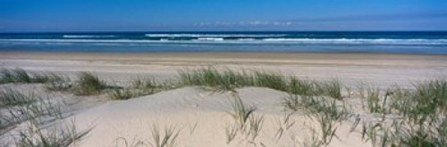 Frasier Island Beach  Australia Poster Print by Panoramic Images (37 x 12) - Item # PPI84408
