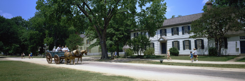 Tourists in a horsedrawn on the road, Nicholson Street, Colonial Williamsburg, Williamsburg, Virginia, USA Poster Print - Item # VARPPI155295