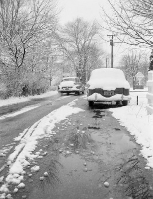Snow-covered street and cars Poster Print - Item # VARSAL255416161
