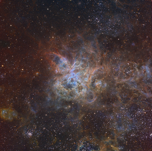 The Tarantula Nebula, also known as 30 Doradus, or NGC 2070, is an H II region in the Large Magellanic Cloud Poster Print