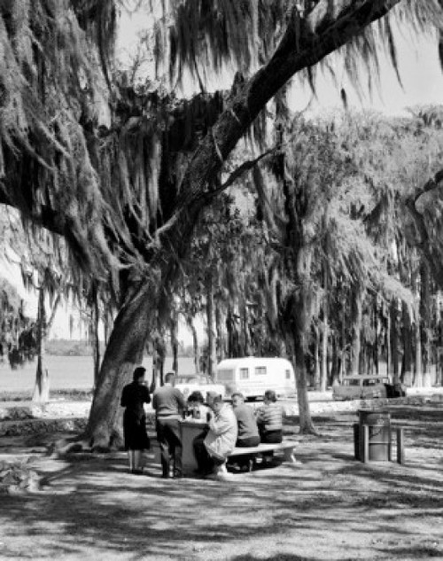 Tourists relaxing in park Poster Print - Item # VARSAL255416184