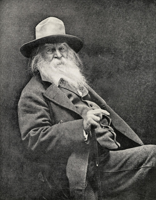 Walt Whitman, 1819-1892. American Poet. From The Book The International Library Of Famous Literature.Published In London 1900. Volume Xviii. PosterPrint - Item # VARDPI1839453