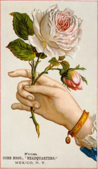 Hand Holding Roses  Nostalgia Cards  Illustration Poster Print - Item # VARSAL9801345
